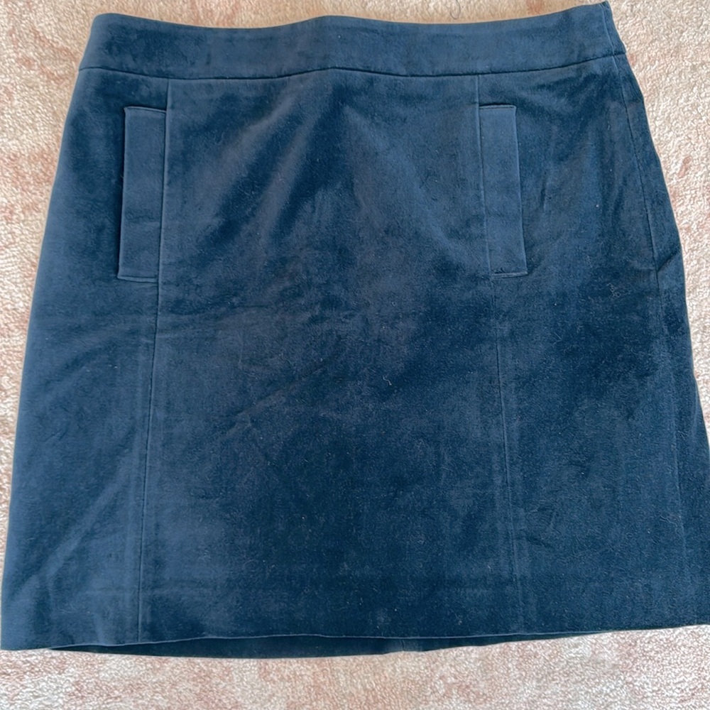 Ann Taylor- velvet skirt